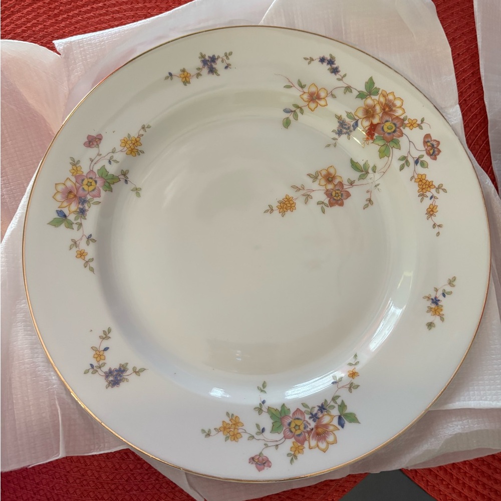 Royal Bavarian Hutschenreuther Selb Floral Dinner Plate 10.25 with Gold Trim.